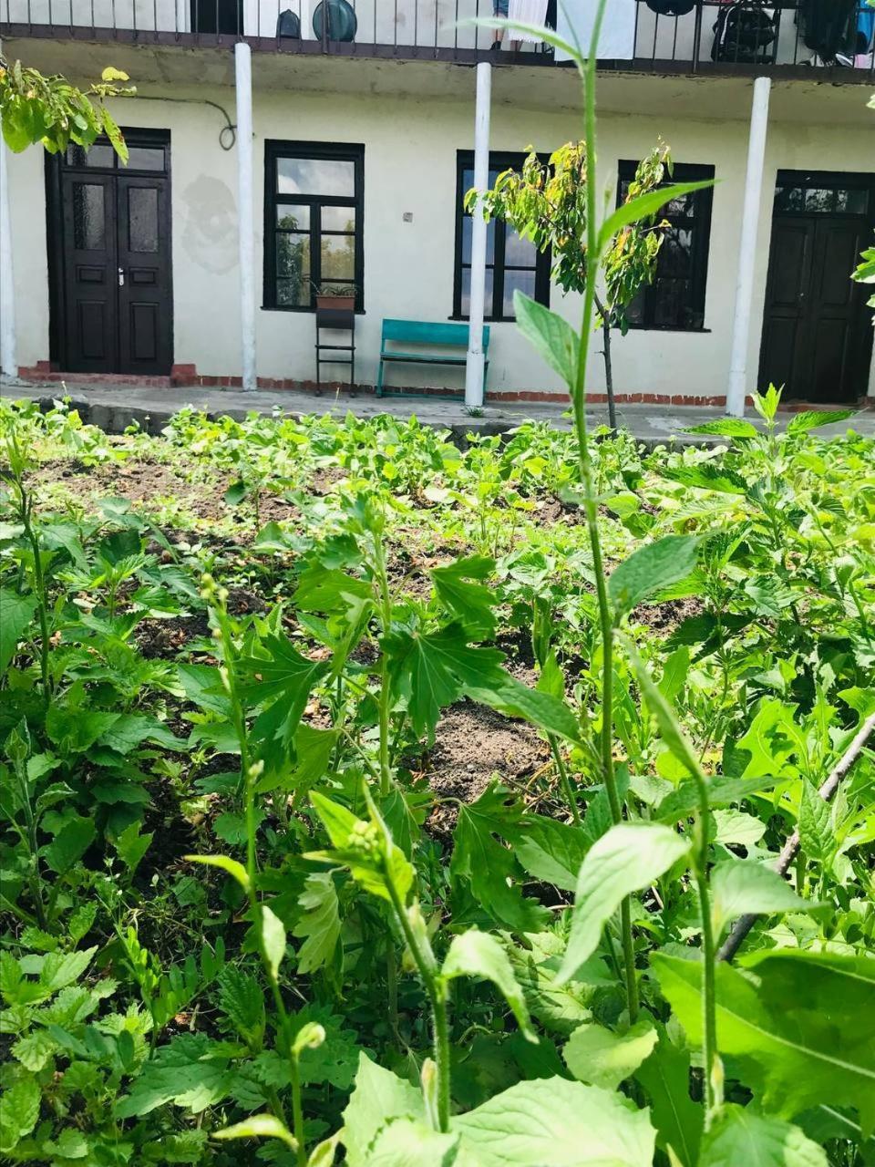 Dzoragyugh B&B Exterior foto